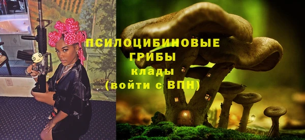 крисы Заволжск