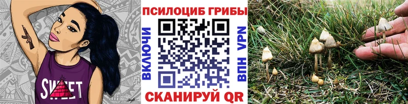 Псилоцибиновые грибы мухоморы  Купить  Касимов 